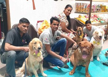 Posh-pets-Pet-stores-Mumbai-central-Maharashtra-3