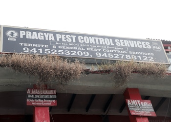 Pragya-pest-control-services-Pest-control-services-Jhusi-jhunsi-Uttar-pradesh-1