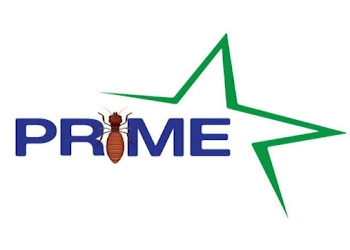 Prime-pest-control-Pest-control-services-Esplanade-kolkata-West-bengal-1