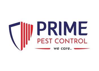 Prime-pest-control-Pest-control-services-Khar-mumbai-Maharashtra-1