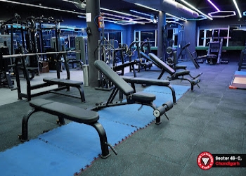 Pro-ultimate-gyms-Gym-Chandigarh-Chandigarh-2