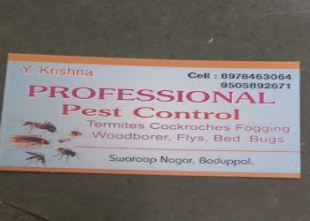 Professional-pest-control-organization-Pest-control-services-Uppal-hyderabad-Telangana-1