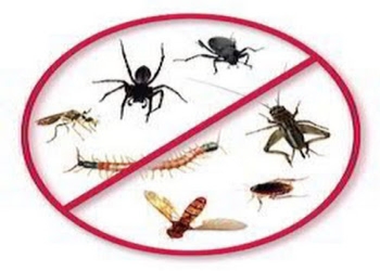 Professional-pest-control-services-inc-Pest-control-services-Habsiguda-hyderabad-Telangana-1