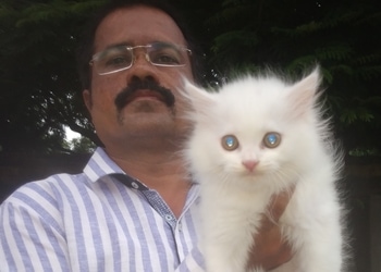 Pruthviraj-pets-point-Pet-stores-Gulbarga-kalaburagi-Karnataka-2