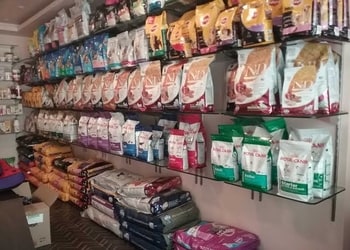 Pups-pet-care-store-Pet-stores-Lucknow-Uttar-pradesh-2