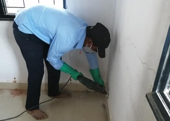 Pv-pest-control-services-Pest-control-services-Badnera-amravati-Maharashtra-2