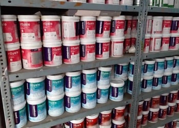 Raj-enterprise-Paint-stores-Kharagpur-West-bengal-2