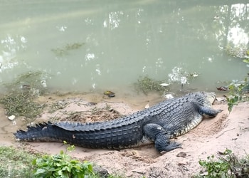 Ramnabagan-wildlife-sanctuary-Public-parks-Burdwan-West-bengal-2