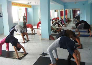 Rhythmic-power-yoga-Yoga-classes-Indore-Madhya-pradesh-2