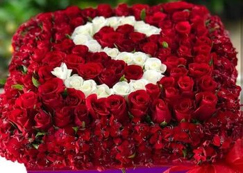 Riya-flowers-Flower-shops-Nagpur-Maharashtra-3