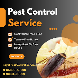 Royal-pest-control-services-suppliers-Pest-control-services-Railway-colony-bikaner-Rajasthan-1