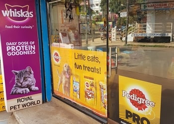 Royal-pet-world-Pet-stores-Sadashiv-nagar-belgaum-belagavi-Karnataka-1