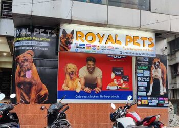 Royal-pets-Pet-stores-Sukhdeonagar-ranchi-Jharkhand-1