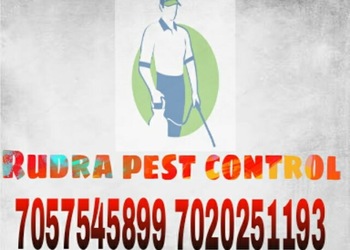 Rudra-pest-control-Pest-control-services-Akkalkot-solapur-Maharashtra-1