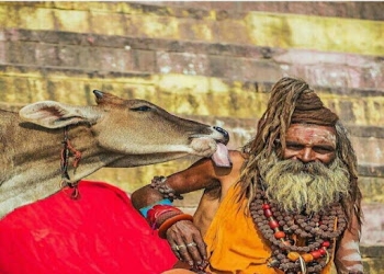 Sacred-varanasi-tour-Travel-agents-Varanasi-cantonment-varanasi-Uttar-pradesh-1