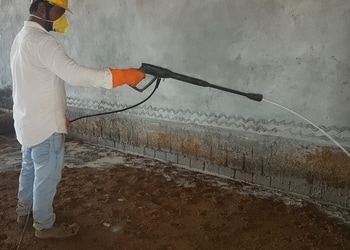 Safehome-Pest-control-services-Basharatpur-gorakhpur-Uttar-pradesh-3