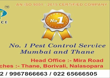 Sai-jyot-pest-control-service-Pest-control-services-Kalyan-dombivali-Maharashtra-1