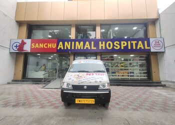 Sanchu-animal-hospital-Veterinary-hospitals-Thiruvanmiyur-chennai-Tamil-nadu-1