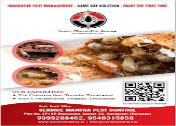 Service-mantra-pest-control-Pest-control-services-Sector-31-gurugram-Haryana-2