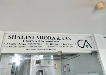 Shalini-arora-company-Chartered-accountants-Sector-44-noida-Uttar-pradesh-2