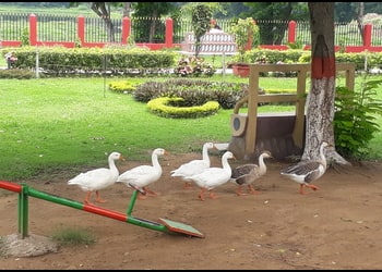 Shatabdi-sishu-udyan-Public-parks-Asansol-West-bengal-2