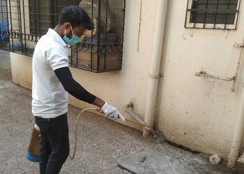 Shaurya-pest-control-service-Pest-control-services-Manpada-kalyan-dombivali-Maharashtra-2