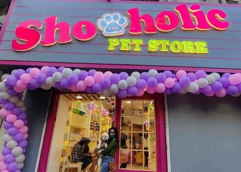 Shopawholic-Pet-stores-Bandra-mumbai-Maharashtra-1