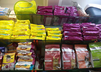 Shopawholic-Pet-stores-Khar-mumbai-Maharashtra-2