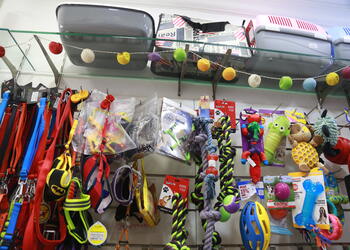 Shopawholic-Pet-stores-Khar-mumbai-Maharashtra-3