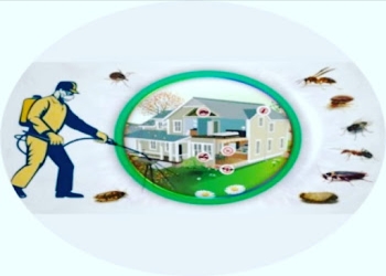 Shree-ram-pest-control-services-Pest-control-services-Vadodara-Gujarat-1