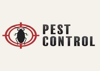 Shreyansh-pest-control-Pest-control-services-Madan-mahal-jabalpur-Madhya-pradesh-1