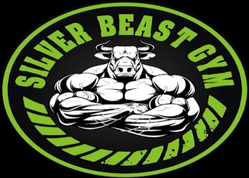 Silver-beast-gym-Gym-Old-delhi-delhi-Delhi-1