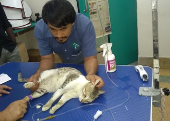 Sks-veterinary-hospital-Veterinary-hospitals-Gandhipuram-coimbatore-Tamil-nadu-2