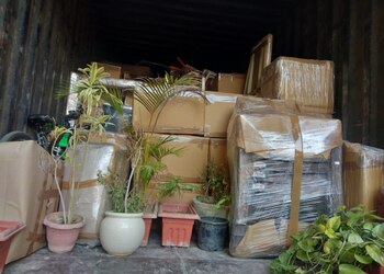 Sky-packers-and-movers-Packers-and-movers-Karawal-nagar-Delhi-3