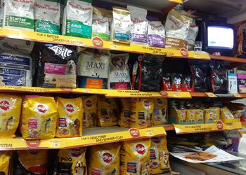 Sonia-pet-shop-Pet-stores-Madurai-Tamil-nadu-2