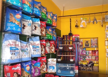 Sonu-pet-shop-Pet-stores-Davanagere-Karnataka-2