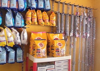 Sonu-pet-shop-Pet-stores-Davanagere-Karnataka-3