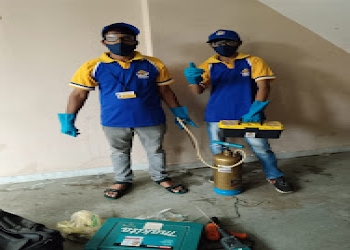 Spark-pest-control-services-Pest-control-services-Bhel-township-bhopal-Madhya-pradesh-1