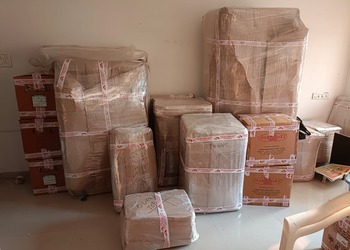 Speed-cargo-Packers-and-movers-Adajan-surat-Gujarat-2