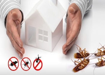 Sri-ganapathy-pest-management-services-Pest-control-services-Oulgaret-pondicherry-Puducherry-2