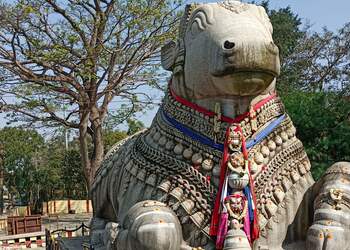 Sri-nandi-temple-Temples-Mysore-Karnataka-1