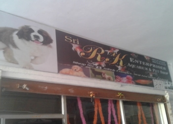 Sri-rk-enterprises-Pet-stores-Gulbarga-kalaburagi-Karnataka-1