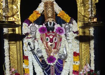 Sri-venktesh-balaji-temple-Temples-Alwar-Rajasthan-3