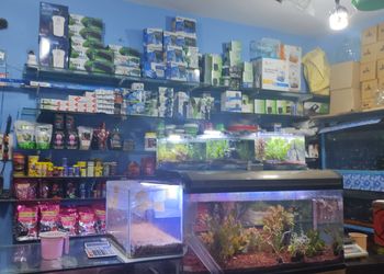 Star-pet-world-Pet-stores-Hyderabad-Telangana-2