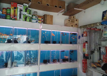 Sunrise-pets-shop-Pet-stores-Erode-Tamil-nadu-2