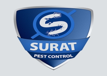 Surat-pest-control-Pest-control-services-Majura-gate-surat-Gujarat-1