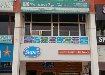 Tejasvi-ayurveda-clinic-Ayurvedic-clinics-Mohali-Punjab-1