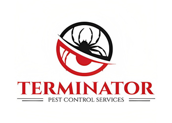 Terminator-pest-india-private-limited-Pest-control-services-Paota-jodhpur-Rajasthan-1