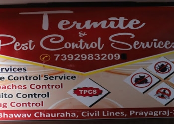 Termite-pest-control-services-Pest-control-services-Allahabad-prayagraj-Uttar-pradesh-1