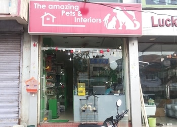 The-amazing-pets-and-aquarium-Pet-stores-Raipur-Chhattisgarh-1